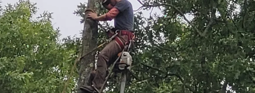 ezgif.com-jpg-to-webp-converter (3)