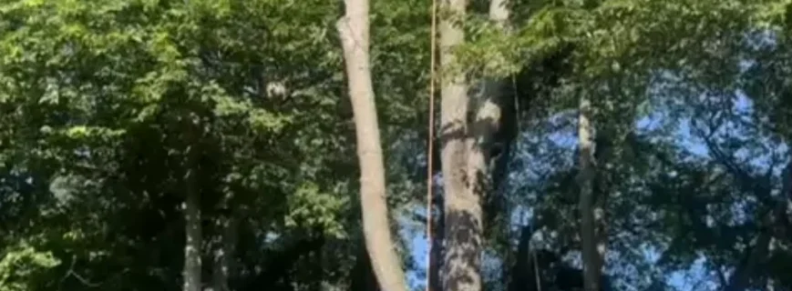 ezgif.com-jpg-to-webp-converter (6)